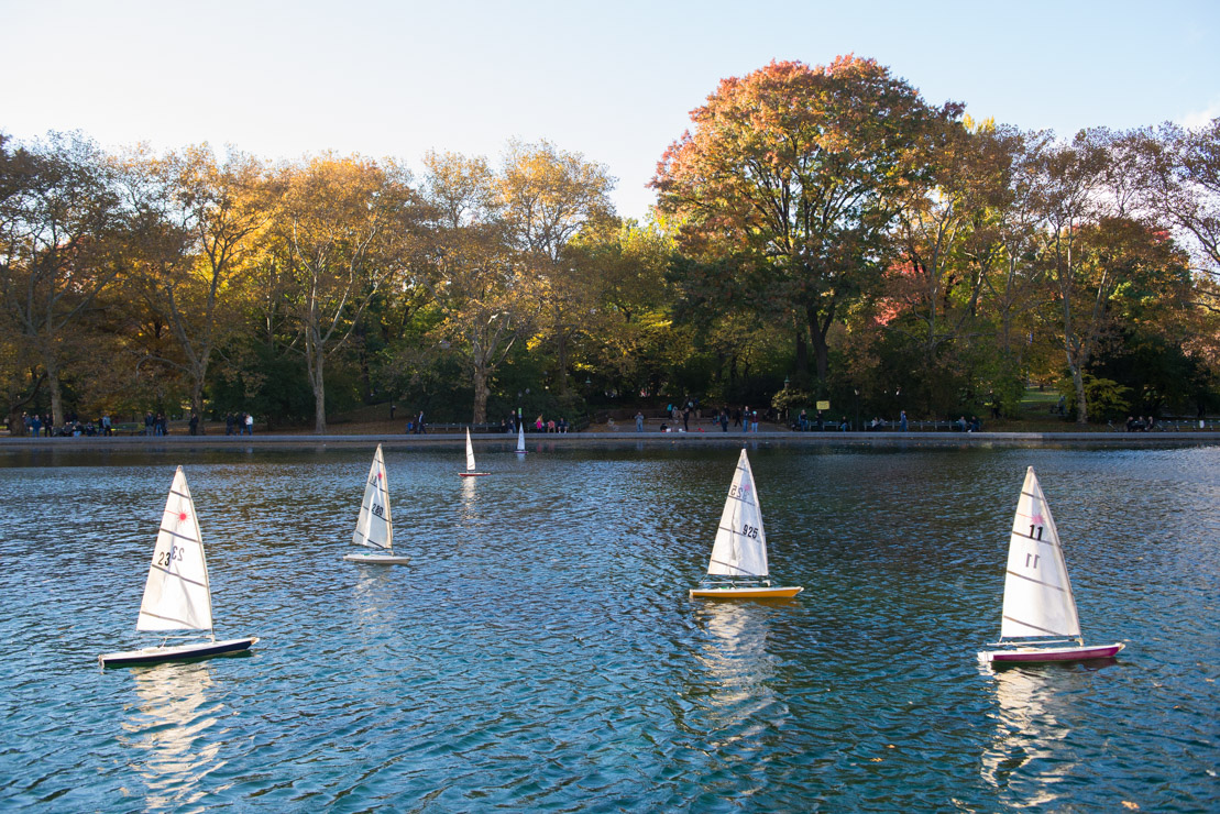 Remote-controlled boats in Central Park