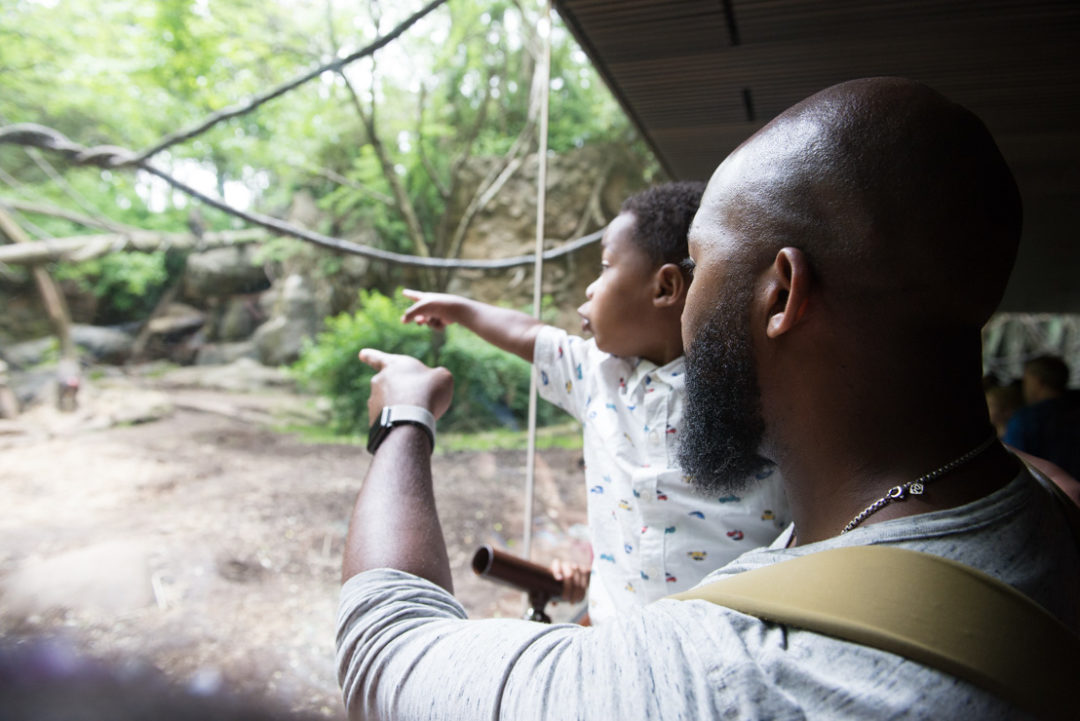 Visiting The Bronx Zoo – Storied and Styled