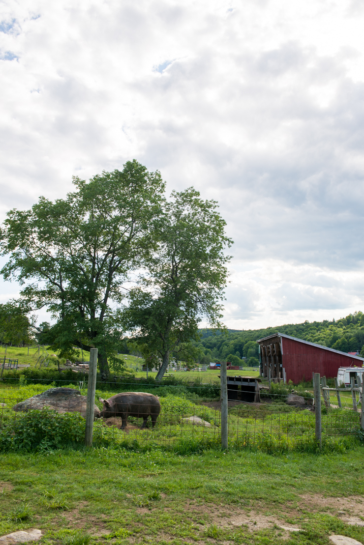 Adams Farm, Vermont