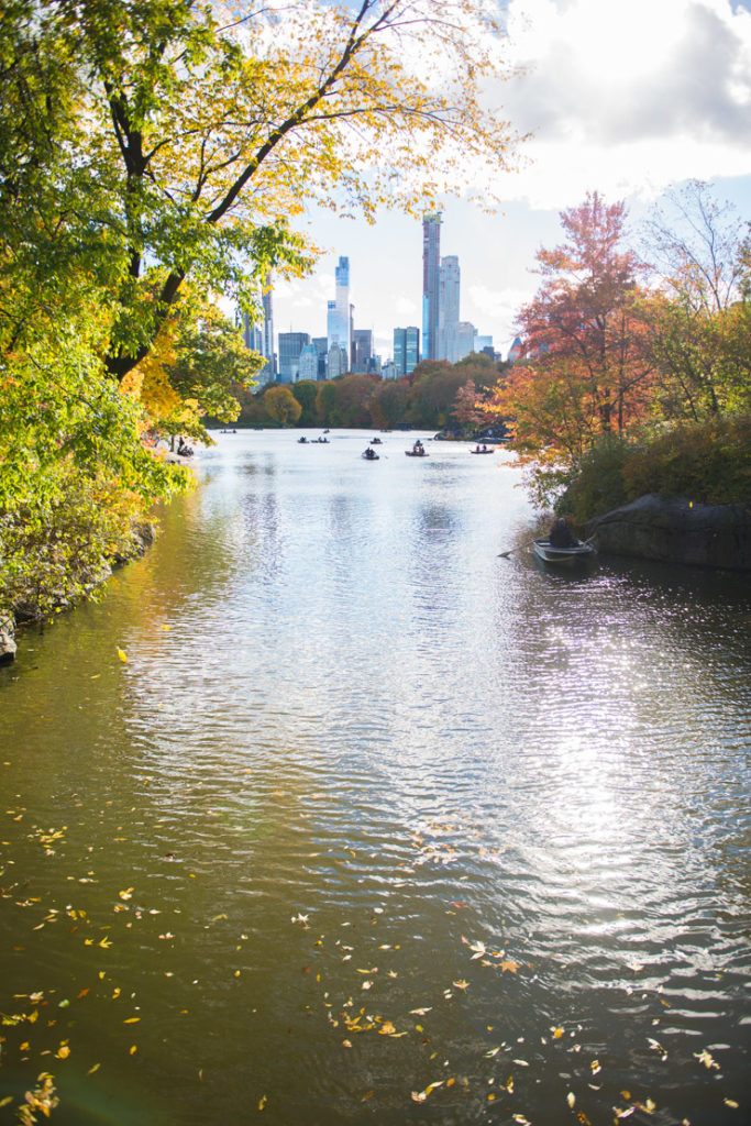 Fall in Central Park – Storied and Styled