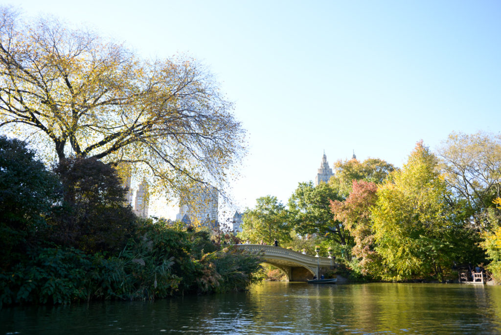 Row Boats in Central Park Storied and Styled